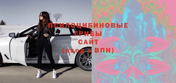 сатива Саяногорск