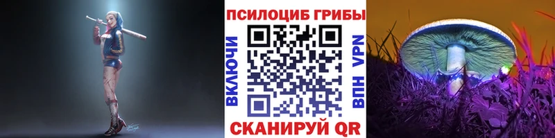 Псилоцибиновые грибы Magic Shrooms  сколько стоит  Белово 